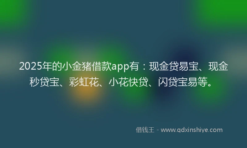 2025年的小金猪借款app有：现金贷易宝、现金秒贷宝、彩虹花、小花快贷、闪贷宝易等。