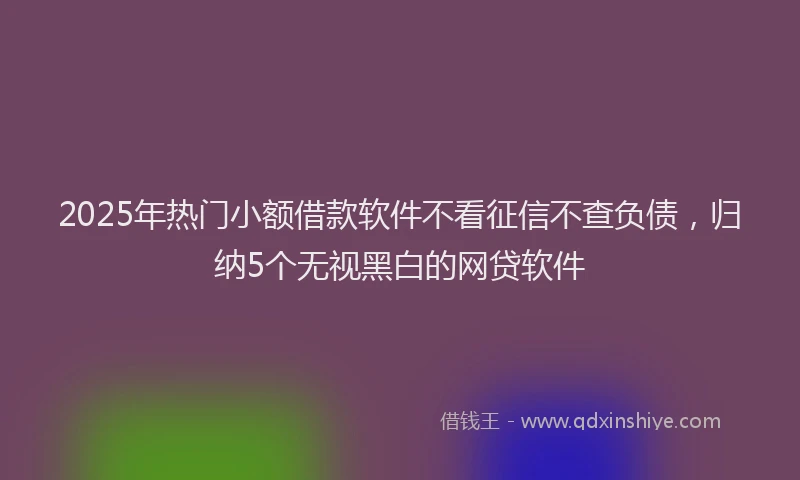 2025年热门小额借款软件不看征信不查负债，归纳5个无视黑白的网贷软件