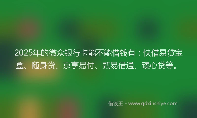 2025年的微众银行卡能不能借钱有：快借易贷宝盒、随身贷、京享易付、甄易借通、臻心贷等。