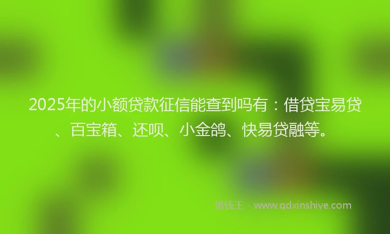 2025年的小额贷款征信能查到吗有：借贷宝易贷、百宝箱、还呗、小金鸽、快易贷融等。