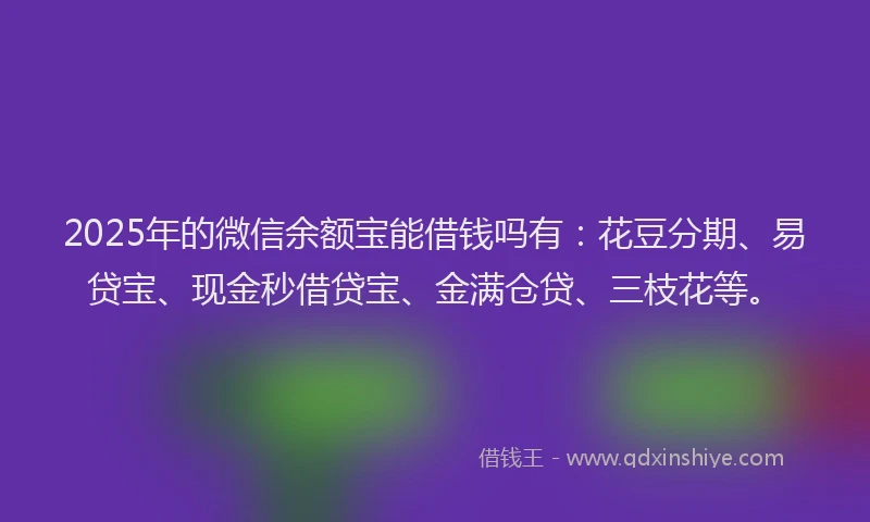 2025年的微信余额宝能借钱吗有：花豆分期、易贷宝、现金秒借贷宝、金满仓贷、三枝花等。