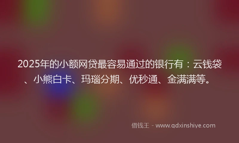 2025年的小额网贷最容易通过的银行有：云钱袋、小熊白卡、玛瑙分期、优秒通、金满满等。