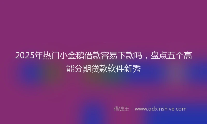 2025年热门小金鹅借款容易下款吗，盘点五个高能分期贷款软件新秀