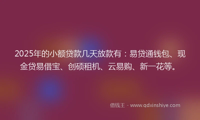 2025年的小额贷款几天放款有：易贷通钱包、现金贷易借宝、创硕租机、云易购、新一花等。