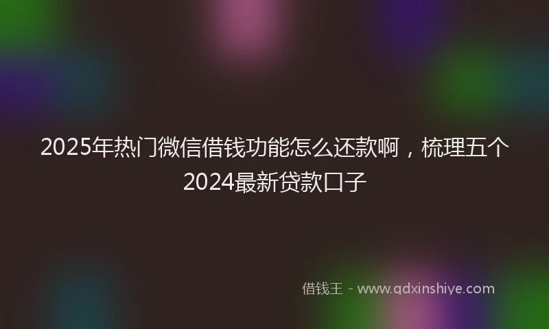 2025年热门微信借钱功能怎么还款啊，梳理五个2024最新贷款口子