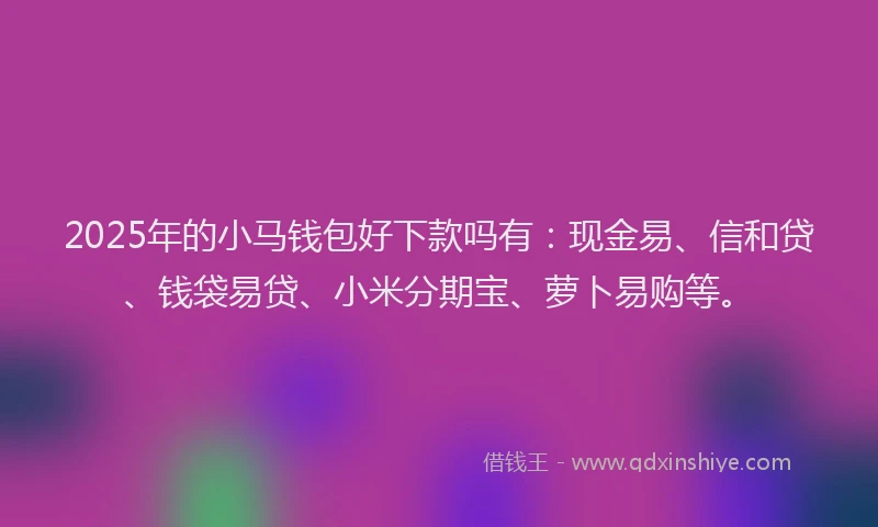 2025年的小马钱包好下款吗有：现金易、信和贷、钱袋易贷、小米分期宝、萝卜易购等。