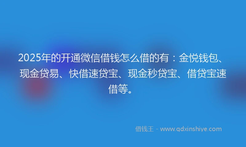 2025年的开通微信借钱怎么借的有：金悦钱包、现金贷易、快借速贷宝、现金秒贷宝、借贷宝速借等。