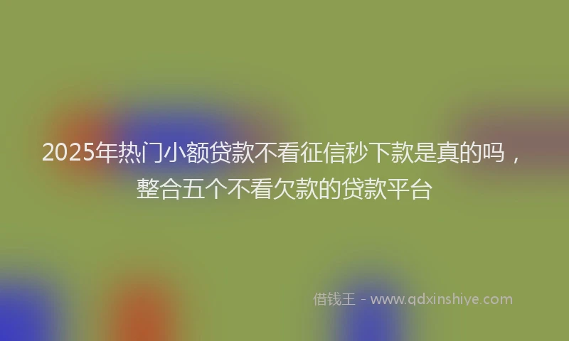 2025年热门小额贷款不看征信秒下款是真的吗，整合五个不看欠款的贷款平台