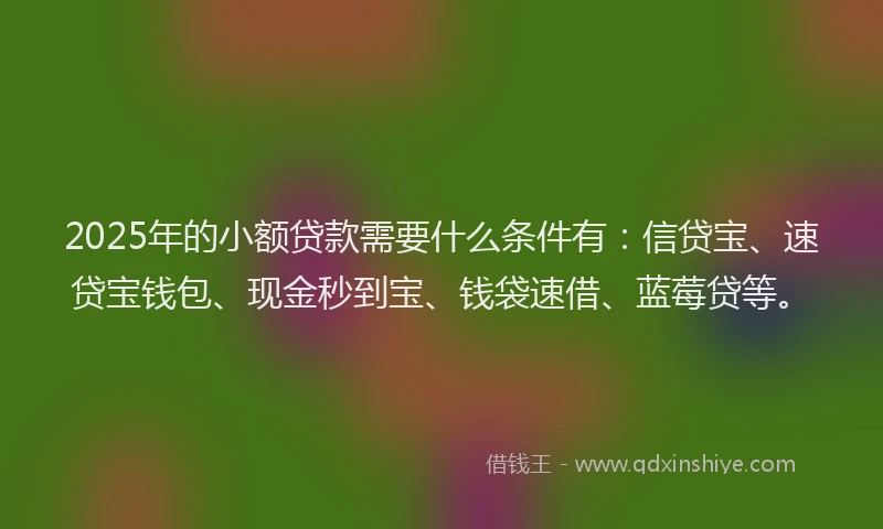 2025年的小额贷款需要什么条件有：信贷宝、速贷宝钱包、现金秒到宝、钱袋速借、蓝莓贷等。