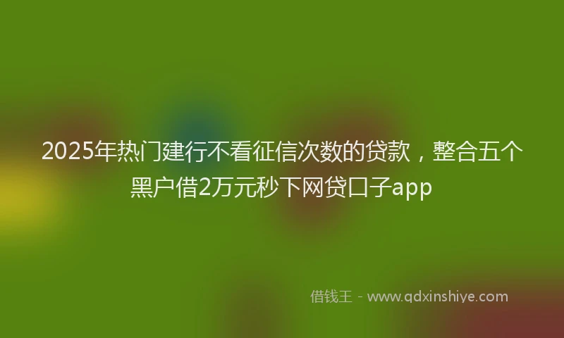 2025年热门建行不看征信次数的贷款，整合五个黑户借2万元秒下网贷口子app