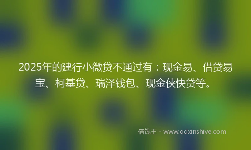 2025年的建行小微贷不通过有：现金易、借贷易宝、柯基贷、瑞泽钱包、现金侠快贷等。