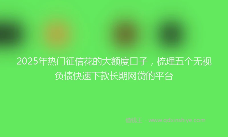 2025年热门征信花的大额度口子，梳理五个无视负债快速下款长期网贷的平台