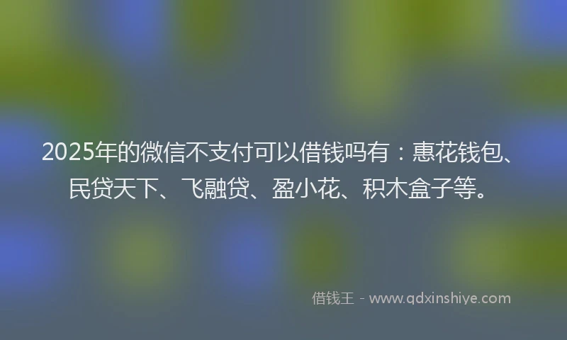 2025年的微信不支付可以借钱吗有：惠花钱包、民贷天下、飞融贷、盈小花、积木盒子等。