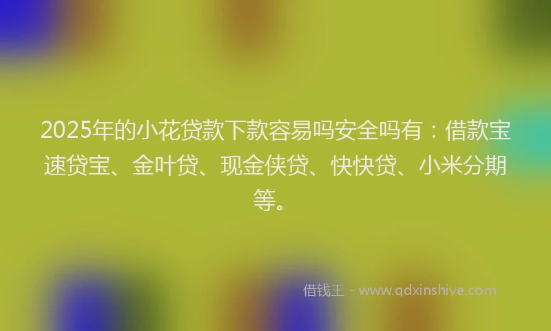 2025年的小花贷款下款容易吗安全吗有：借款宝速贷宝、金叶贷、现金侠贷、快快贷、小米分期等。