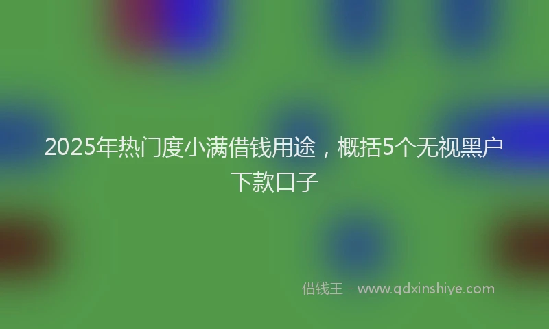 2025年热门度小满借钱用途，概括5个无视黑户下款口子
