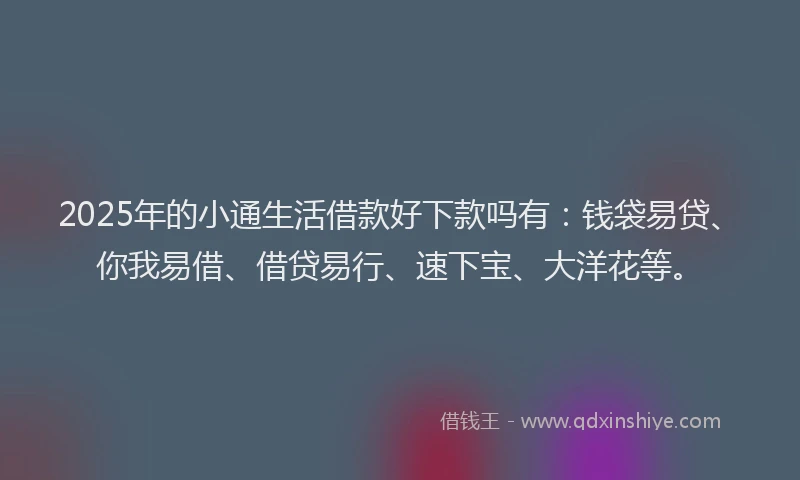2025年的小通生活借款好下款吗有：钱袋易贷、你我易借、借贷易行、速下宝、大洋花等。