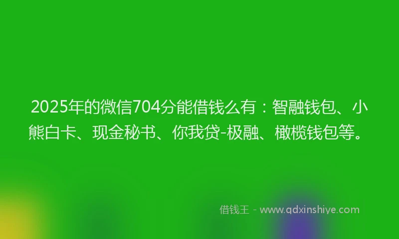 2025年的微信704分能借钱么有：智融钱包、小熊白卡、现金秘书、你我贷-极融、橄榄钱包等。