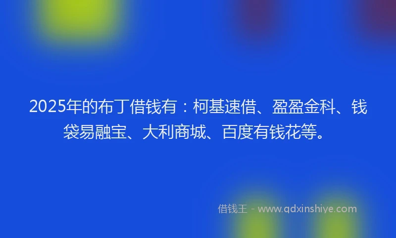 2025年的布丁借钱有：柯基速借、盈盈金科、钱袋易融宝、大利商城、百度有钱花等。