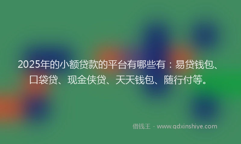 2025年的小额贷款的平台有哪些有：易贷钱包、口袋贷、现金侠贷、天天钱包、随行付等。