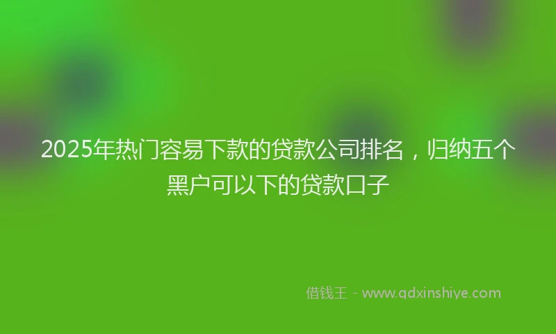 2025年热门容易下款的贷款公司排名，归纳五个黑户可以下的贷款口子