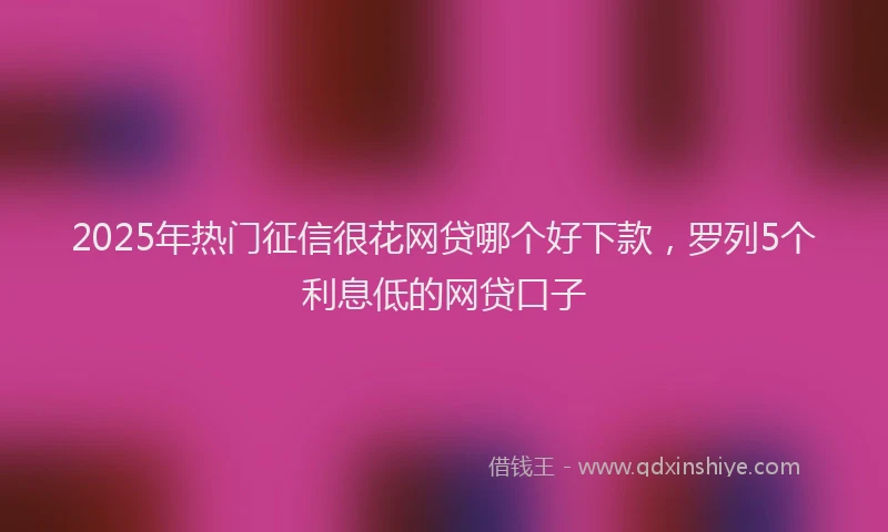 2025年热门征信很花网贷哪个好下款，罗列5个利息低的网贷口子