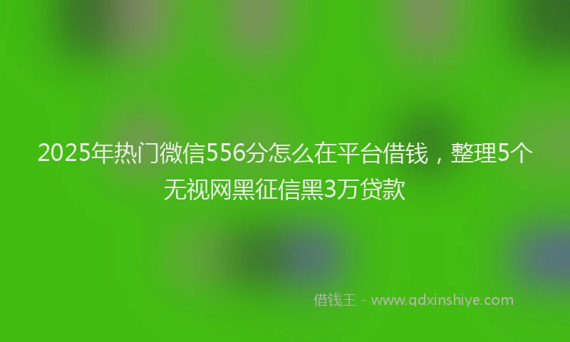 2025年热门微信556分怎么在平台借钱，整理5个无视网黑征信黑3万贷款