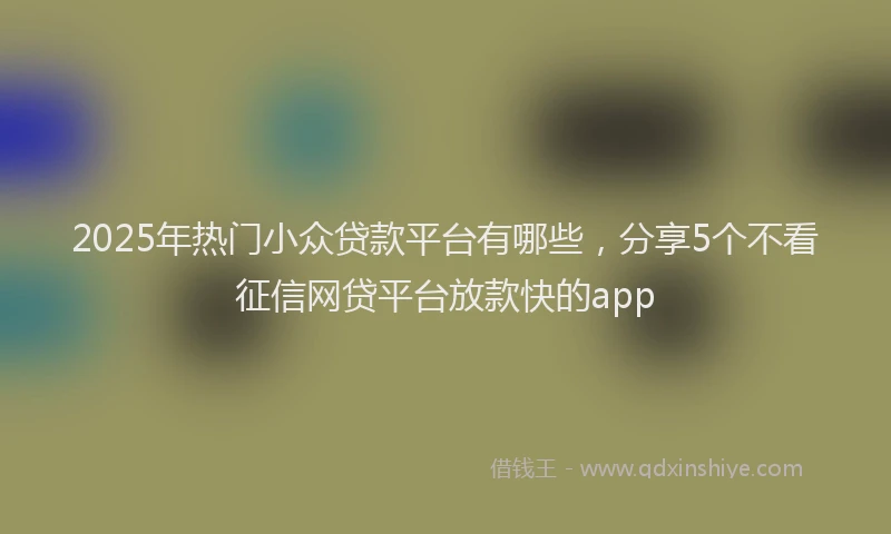 2025年热门小众贷款平台有哪些，分享5个不看征信网贷平台放款快的app