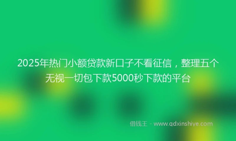 2025年热门小额贷款新口子不看征信，整理五个无视一切包下款5000秒下款的平台