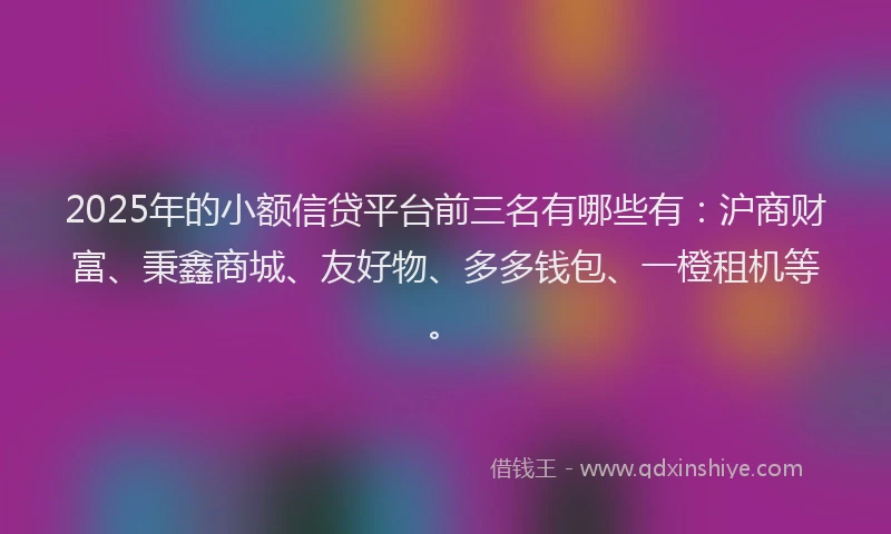 2025年的小额信贷平台前三名有哪些有：沪商财富、秉鑫商城、友好物、多多钱包、一橙租机等。
