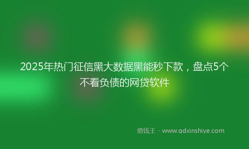 2025年热门征信黑大数据黑能秒下款，盘点5个不看负债的网贷软件