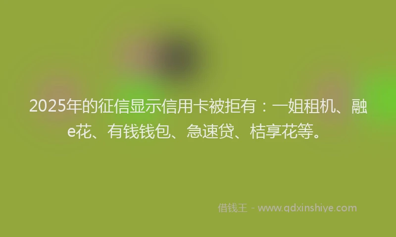 2025年的征信显示信用卡被拒有：一姐租机、融e花、有钱钱包、急速贷、桔享花等。