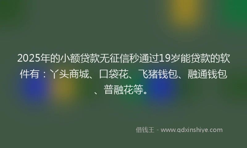 2025年的小额贷款无征信秒通过19岁能贷款的软件有：丫头商城、口袋花、飞猪钱包、融通钱包、普融花等。