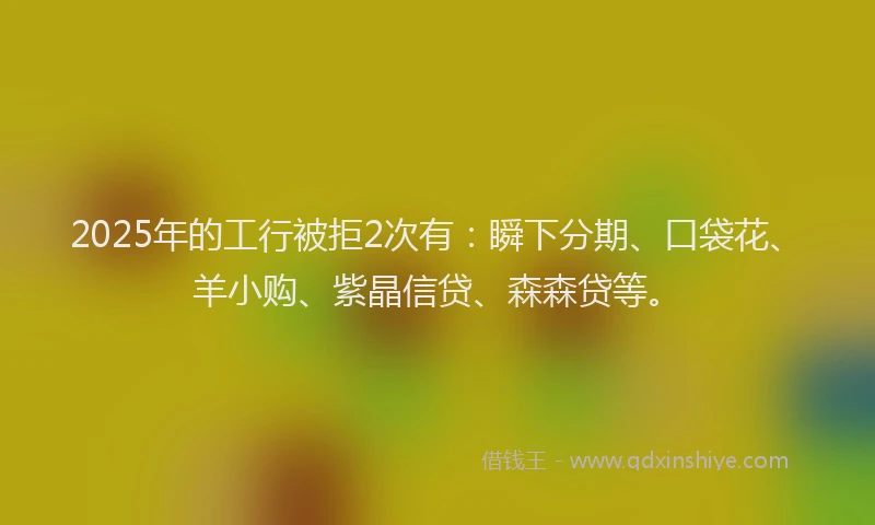 2025年的工行被拒2次有：瞬下分期、口袋花、羊小购、紫晶信贷、森森贷等。