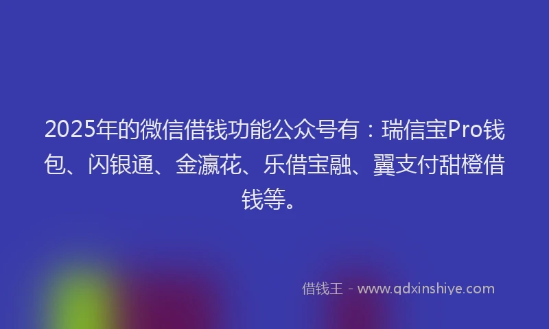2025年的微信借钱功能公众号有：瑞信宝Pro钱包、闪银通、金瀛花、乐借宝融、翼支付甜橙借钱等。