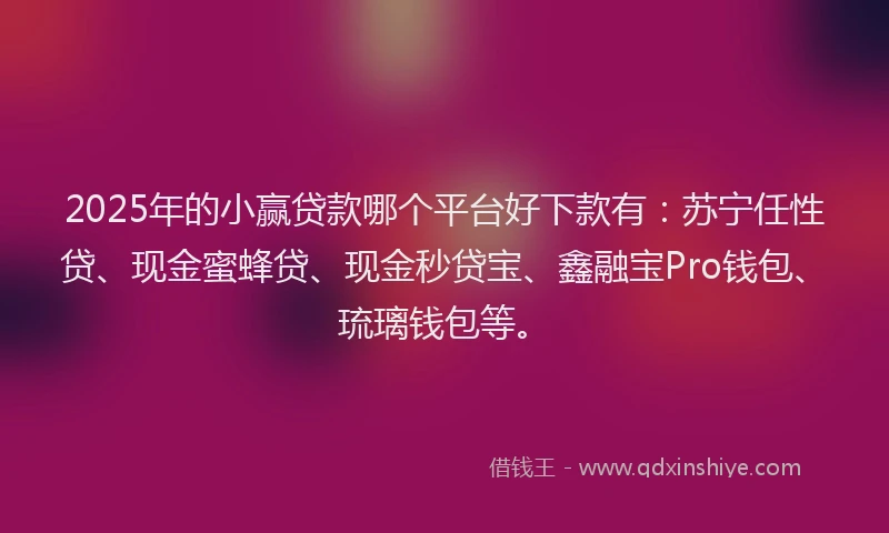 2025年的小赢贷款哪个平台好下款有：苏宁任性贷、现金蜜蜂贷、现金秒贷宝、鑫融宝Pro钱包、琉璃钱包等。