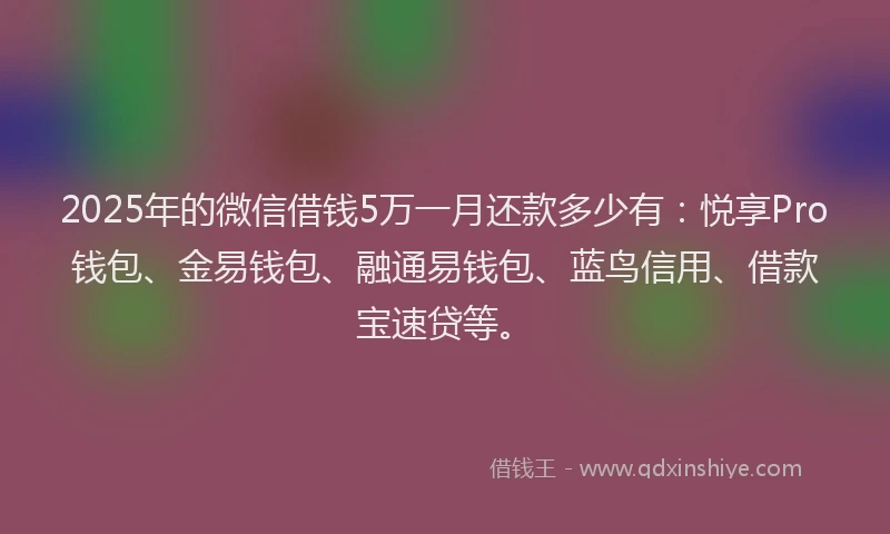 2025年的微信借钱5万一月还款多少有：悦享Pro钱包、金易钱包、融通易钱包、蓝鸟信用、借款宝速贷等。