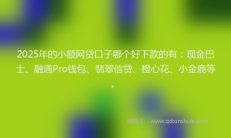 2025年的小额网贷口子哪个好下款的有：现金巴士、融通Pro钱包、翡翠信贷、橙心花、小金鹿等。