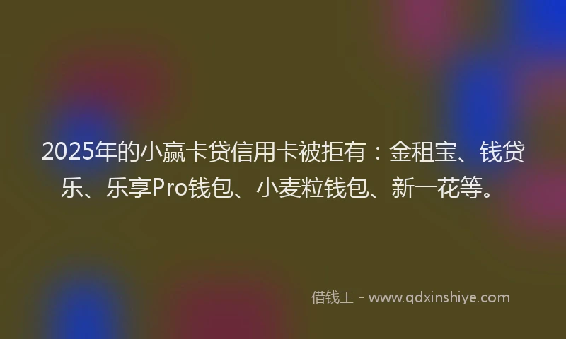 2025年的小赢卡贷信用卡被拒有：金租宝、钱贷乐、乐享Pro钱包、小麦粒钱包、新一花等。