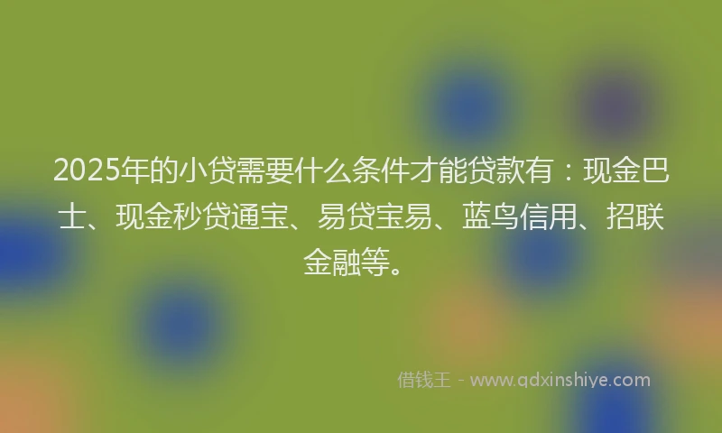 2025年的小贷需要什么条件才能贷款有：现金巴士、现金秒贷通宝、易贷宝易、蓝鸟信用、招联金融等。