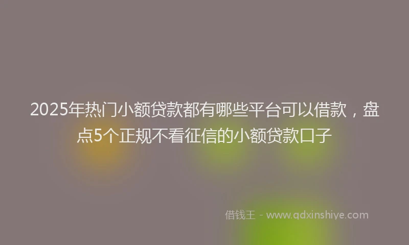 2025年热门小额贷款都有哪些平台可以借款，盘点5个正规不看征信的小额贷款口子