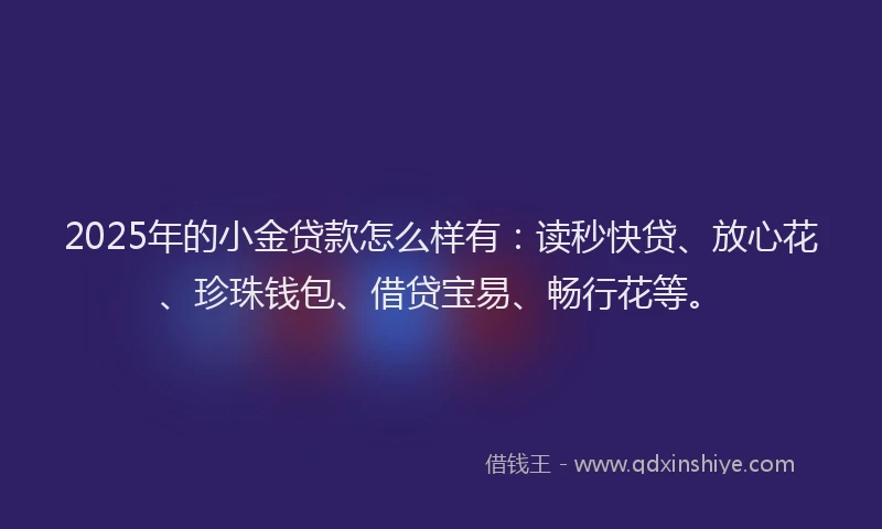 2025年的小金贷款怎么样有：读秒快贷、放心花、珍珠钱包、借贷宝易、畅行花等。