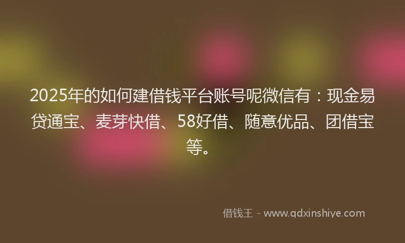 2025年的如何建借钱平台账号呢微信有：现金易贷通宝、麦芽快借、58好借、随意优品、团借宝等。