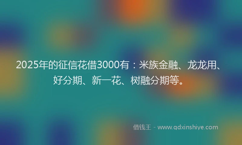 2025年的征信花借3000有：米族金融、龙龙用、好分期、新一花、树融分期等。