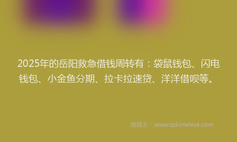 2025年的岳阳救急借钱周转有：袋鼠钱包、闪电钱包、小金鱼分期、拉卡拉速贷、洋洋借呗等。