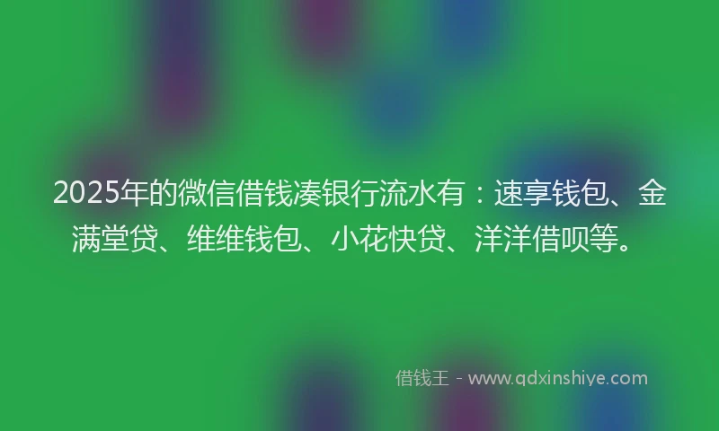 2025年的微信借钱凑银行流水有：速享钱包、金满堂贷、维维钱包、小花快贷、洋洋借呗等。