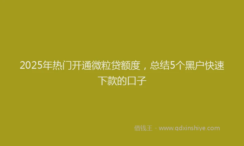 2025年热门开通微粒贷额度，总结5个黑户快速下款的口子