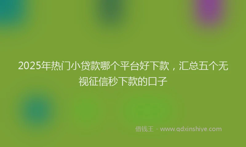 2025年热门小贷款哪个平台好下款，汇总五个无视征信秒下款的口子