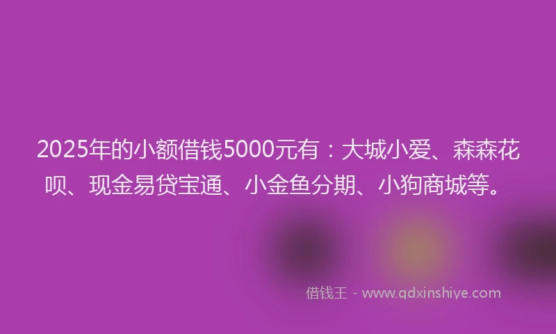 2025年的小额借钱5000元有：大城小爱、森森花呗、现金易贷宝通、小金鱼分期、小狗商城等。