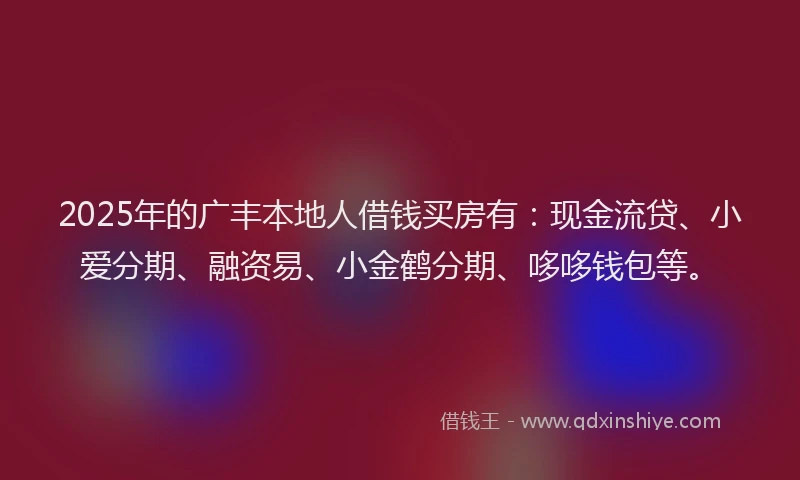 2025年的广丰本地人借钱买房有：现金流贷、小爱分期、融资易、小金鹤分期、哆哆钱包等。