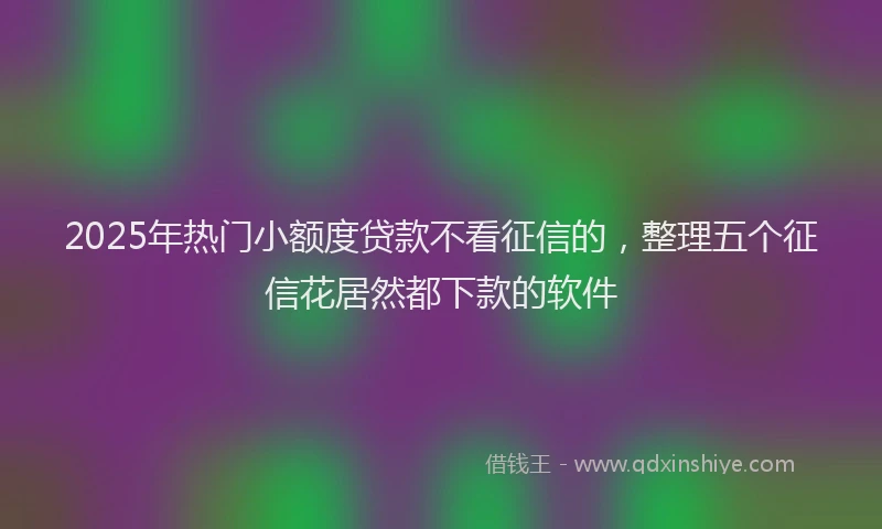 2025年热门小额度贷款不看征信的，整理五个征信花居然都下款的软件